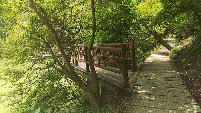 Bamboo-Imitation Railing suppliers